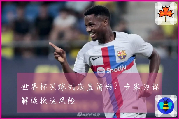 世界杯买球到底靠谱吗？专家为你解读投注风险