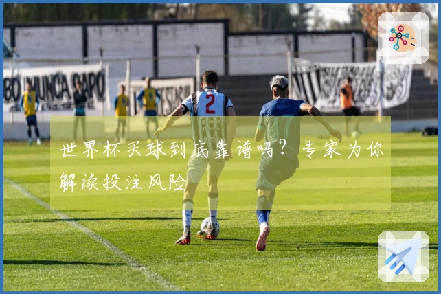 世界杯买球到底靠谱吗？专家为你解读投注风险