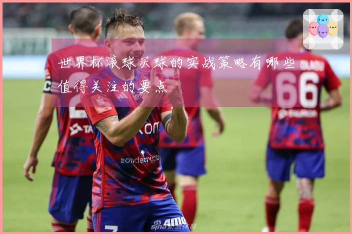 世界杯滚球买球的实战策略有哪些值得关注的要点